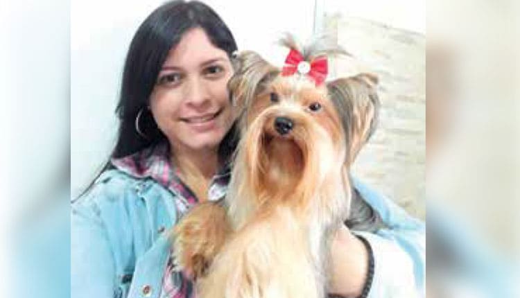 Cães alérgicos!