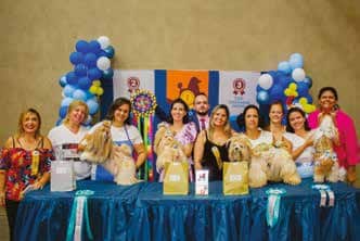 Groomer Show 2023 - Penteado Iniciante