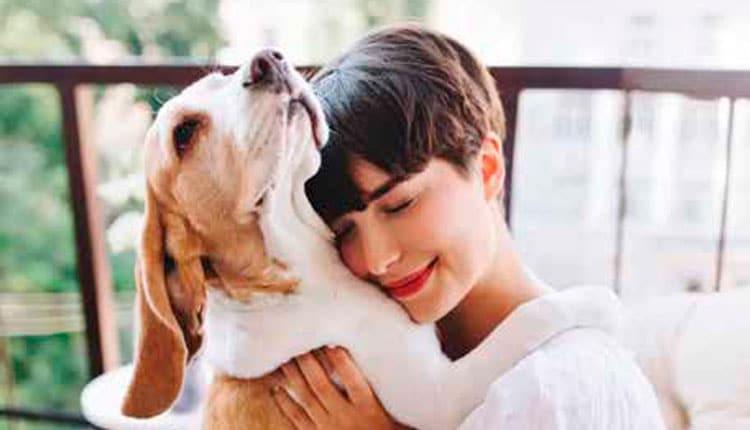 A evolução do setor Pet e as profissões que transformam o cuidado animal