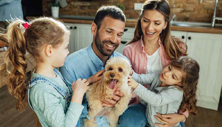 Conheça o perfil dos pais de pet no Brasil