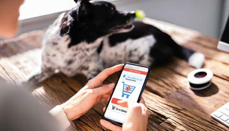 Quais são as marcas de alimentos pet que melhor performam no digital?