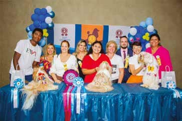 Groomer Show 2023 - Penteado Master