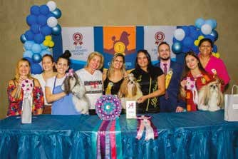 Groomer Show 2023 - Top Head