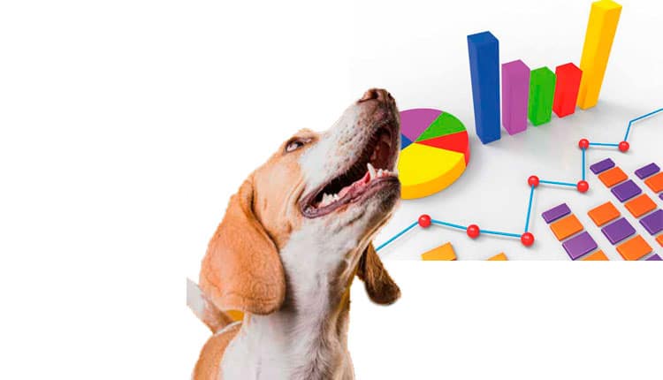 Indústria Pet conclui 2022 com alta de 17% no faturamento, mas possui uma das tributações mais altas do mundo