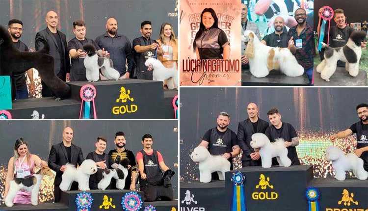 Mastergroom - Recebe os melhores groomers do país