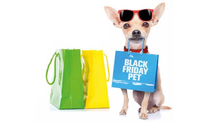 BLACK FRIDAY no mercado pet Será que pega?