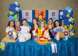 Groomer Show 2023 - Colorimetria