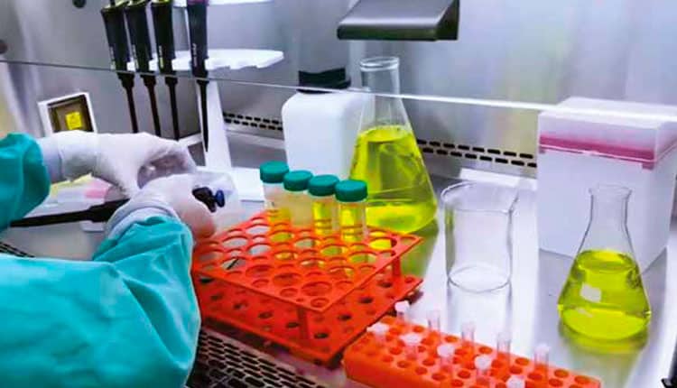 Biossegurança na Medicina Veterinária: Protegendo a Saúde Animal e Humana