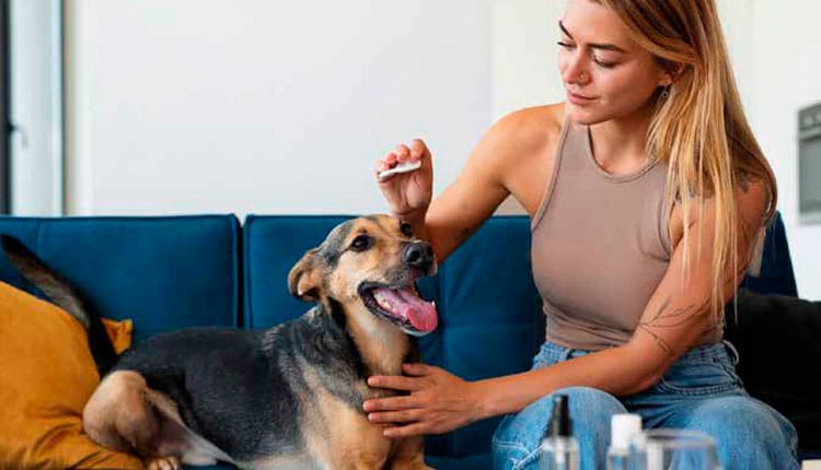 Crescimento impulsionado pelo cuidado com a saúde animal