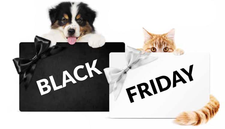 Em tempos de pandemia, você está preparado para uma Black Friday?