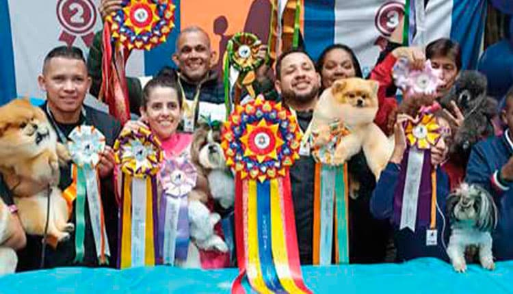 Dez anos de Top Groomers Show