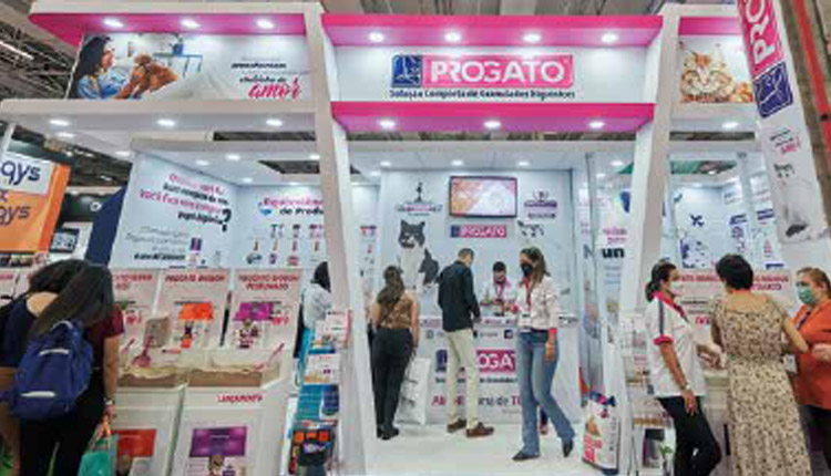 Preferência por gatos cresce e estimula cada vez mais o mercado de produtos para felinos no Brasil