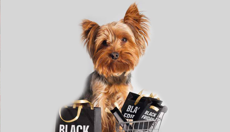 Black Friday