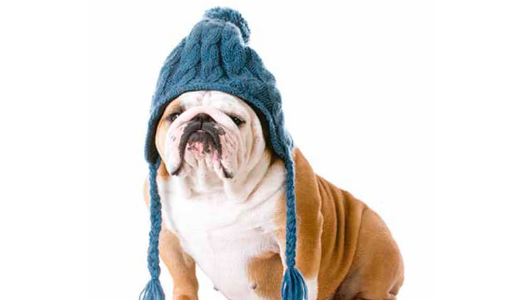 Inverno requer cuidado redobrado