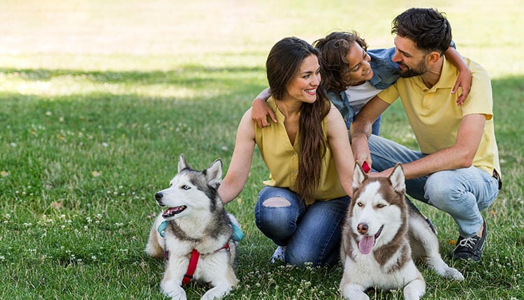 Pets nas férias de verão: cuidados gerais para a diversão de toda a família