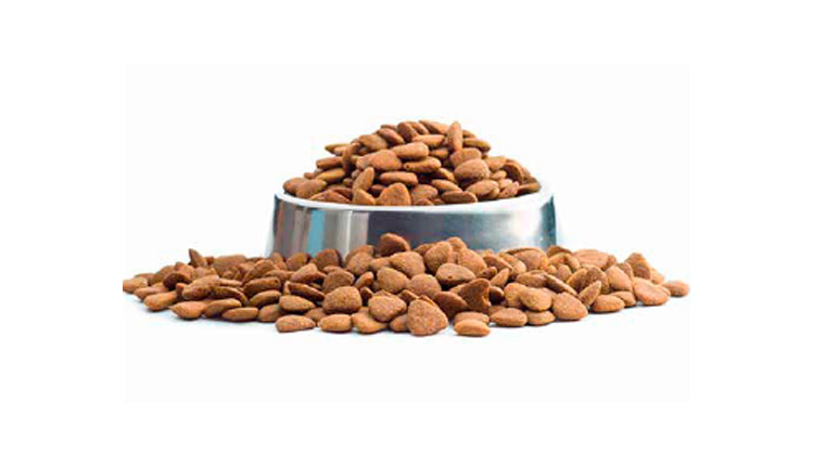 De onde vêm as vitaminas e minerais da ração dos pets?