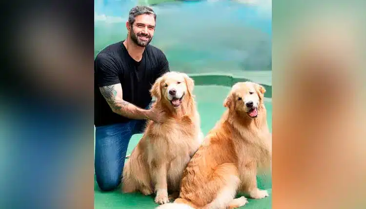 Socialização e etiqueta ajudam a moldar pets mais equilibrados e seguros