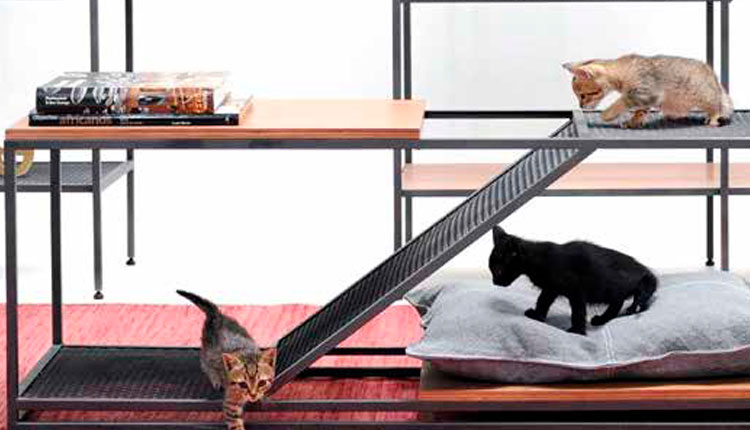 Pets e Decoração: o papel do ambiente no comportamento dos animais e no convívio com seus donos