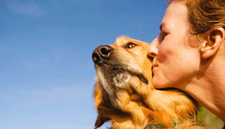 Pesquisa inédita revela perfil danova geração de tutores de pets