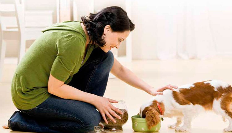 Alimentos funcionais se consolidam no mercado de rações para pets