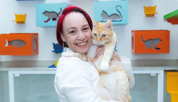 Médica-veterinária desvenda os principais mitos do universo felino