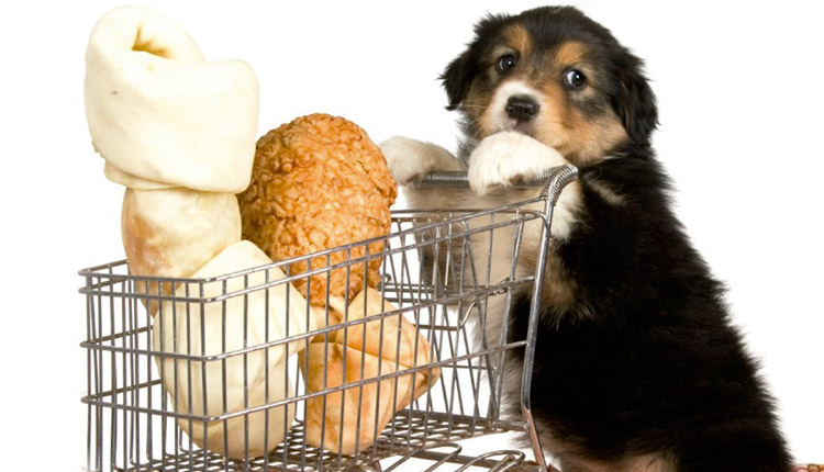 Mais de 70% das compras para pets são feitas em pet shops e mercados de bairro