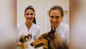 Pet shop que vende medicamento precisa ter veterinário responsável
