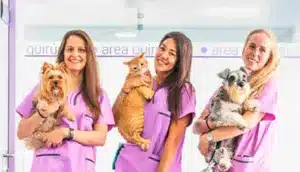 Elas dominam a Medicina Veterinária