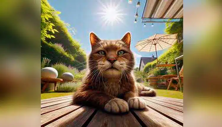 A Longevidade do Seu Pet: Um Caminho para uma Vida Saudável e Feliz