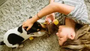Vida em apartamento: desafios e soluções para o bem-estar dos animais de estimação