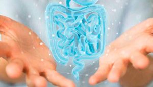 Síndrome do intestino irritável (SII/IBS) em cães e gatos