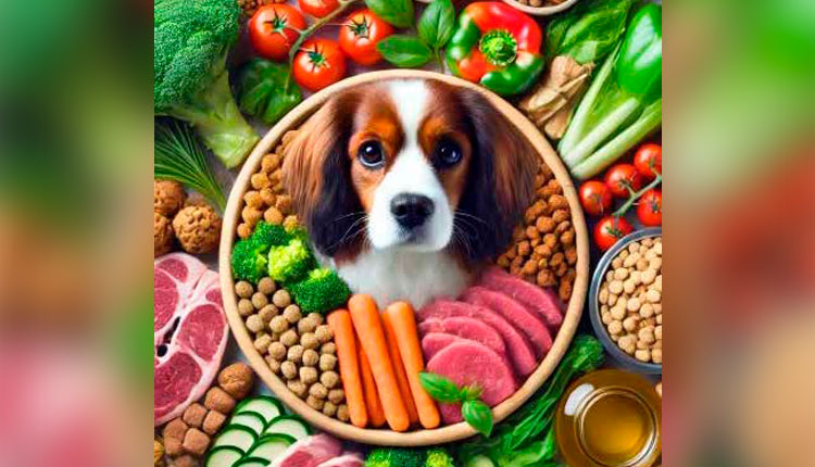 A Energia dos Alimentos e a Saúde dos Pets: O Elixir Invisível que Modula Células, Metabolismo e Vitalidade