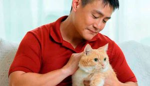 Seu gato está pronto para o Carnaval?