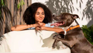 Pets redefinem lazer urbano: aplicativos conectam tutores a espaços pet friendly