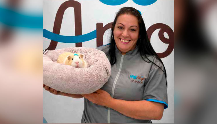 Porquinho-da-índia: Pequenos no Tamanho, Gigantes no Afeto