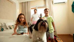 Hot Beach Olimpia - SP Aposta no turismo pet friendly redefine as férias em famílias