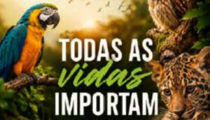 Todas as Vidas Importam: quando a Medicina Veterinária ultrapassa os limites dos consultórios